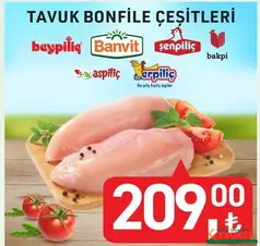 TAVUK BONFİLE ÇEŞİTLERİ